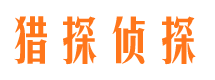 江汉侦探公司